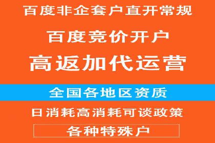 小红书信息流广告优化策略，成功案例分享
